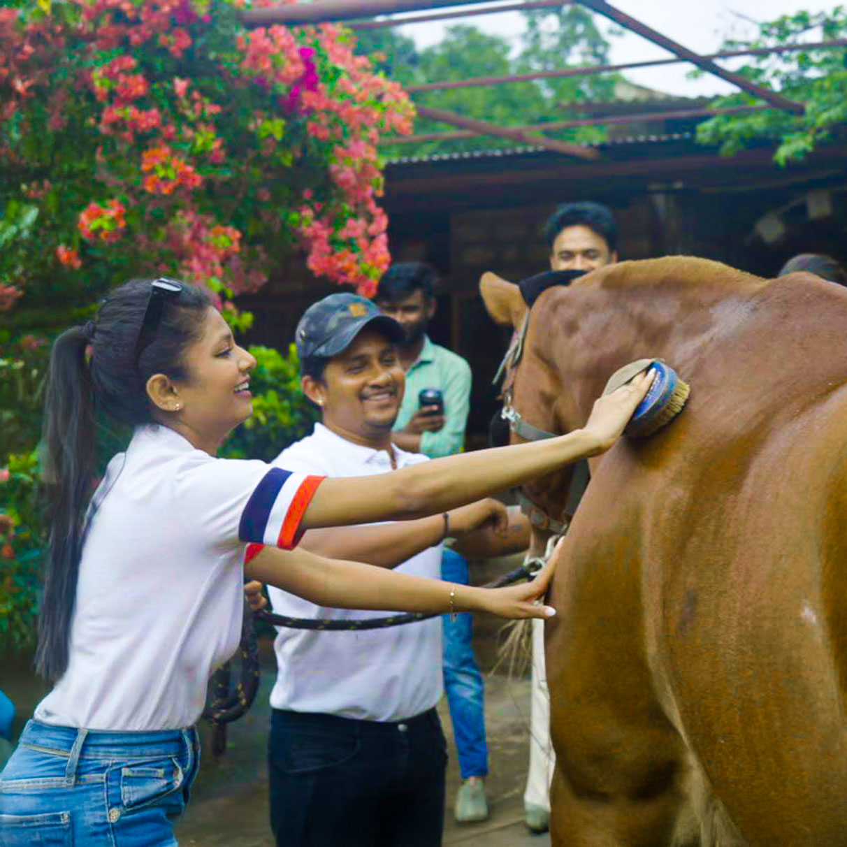 Grow closer as you learn to groom and take care of the horses at the stables.